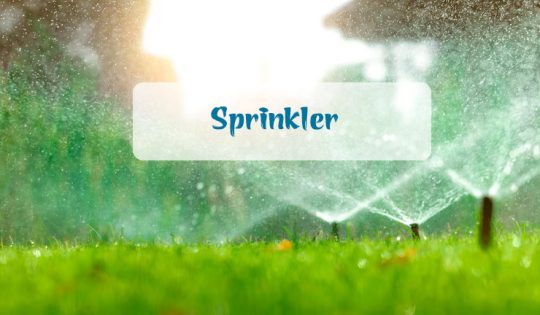 Sprinkler